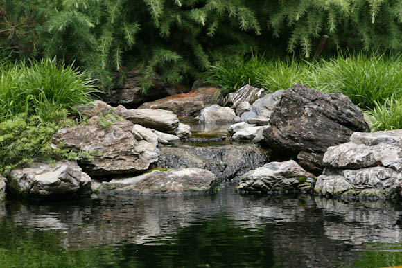 Stream feeding into a pond